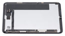 Pantalla LCD con digitalizador para iPad Mini 7