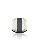 Bobina t√°ctil para iPad Air 2