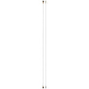 Compra el Cable de Antena (Blanco) para Motorola Moto Edge 40 Neo en Xela, Quetzaltenango.