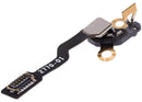 Encuentra cables flex conector GPS pequeños para reparar tu Watch Series 6 de 40MM en Xela Quetzaltenango.