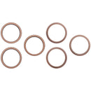 Bezel de cámara trasera para iPhone 16 Pro/Max en Desert Titanium, paquete de 10, repuesto A3083, A3292.