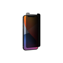 PROTECTION PRO PRIVACY FILM SMALL