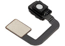 Encuentra el cable flex sensor de proximidad para iPad Pro en Quetzaltenango.