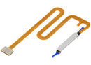 Lector de huellas gris para Samsung Galaxy A06 5G (A066) con cable flex, repuesto para reparación.