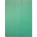 Repuesto Bond Black Pad para iPad Pro 12.9 5ta Gen (XHZC), pieza Apple para reparación.