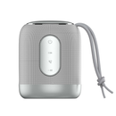 Encuentra el altavoz inalámbrico LDNIO BTS12 2000 mAh Bluetooth 5.0 en Quetzaltenango.