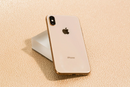 Vidrio Trasero iPhone XS Dorado sin Lente de camara.